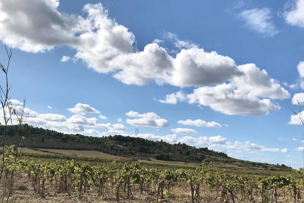 Appartement Le Jutini Caunes-Minervois Luaran gambar